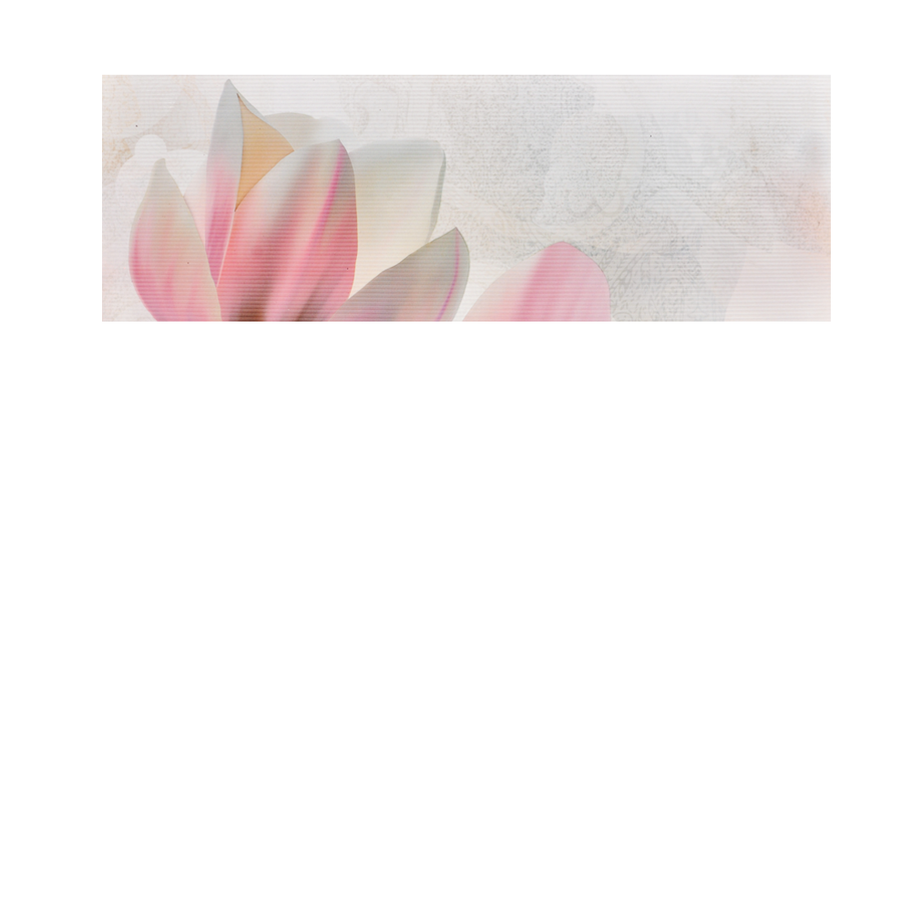 Faianta decorativa 1002 HL 1  20 x 60