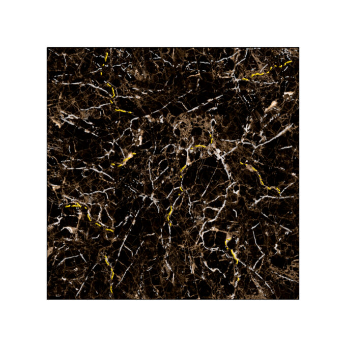 Gresie exterior / interior portelanata Royal Black 60 x 60 cm lucioasa rectificata tip marmura 1 Gresie exterior / interior portelanata Royal Black 60 x 60 cm lucioasa rectificata tip marmura