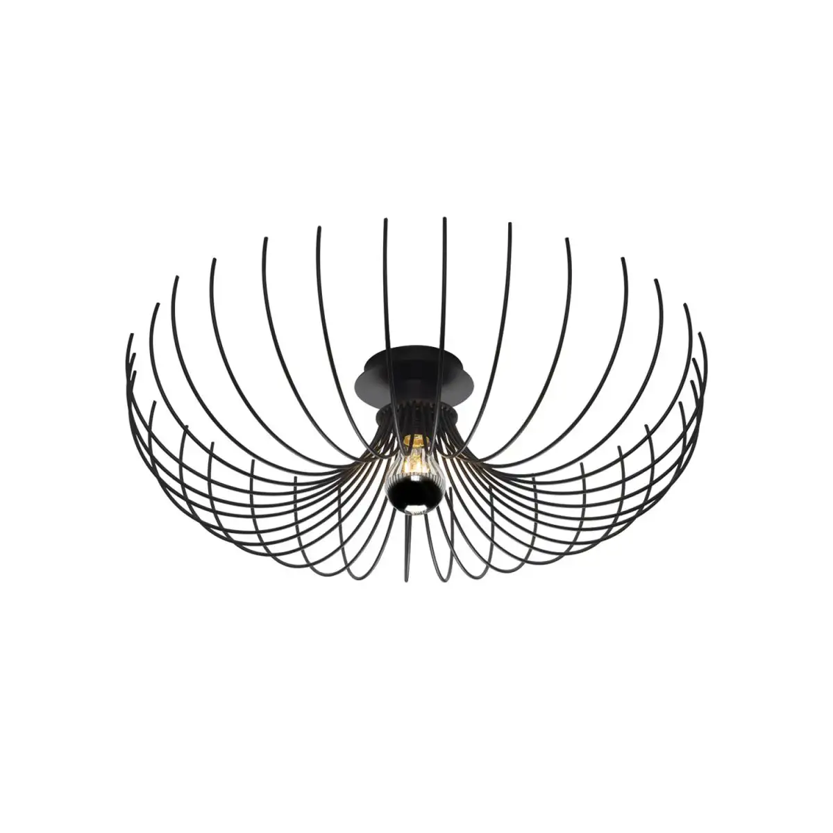 Lustra  negru homs ro11188