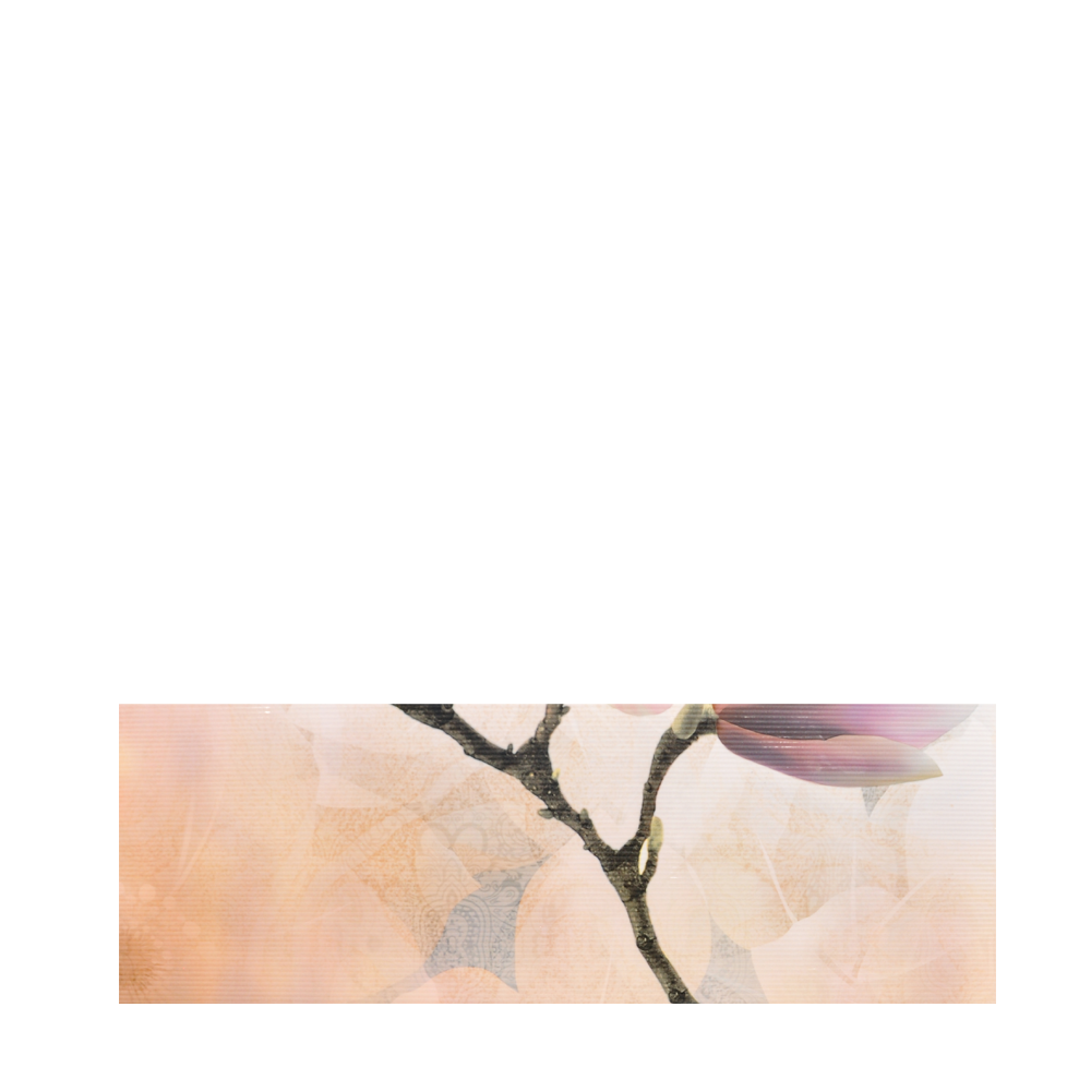 Faianta decorativa 1002 HL 3  20 x 60