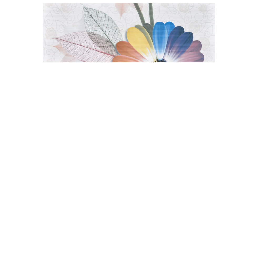 Faianta decorativa 1039 HL 1  20 x 60