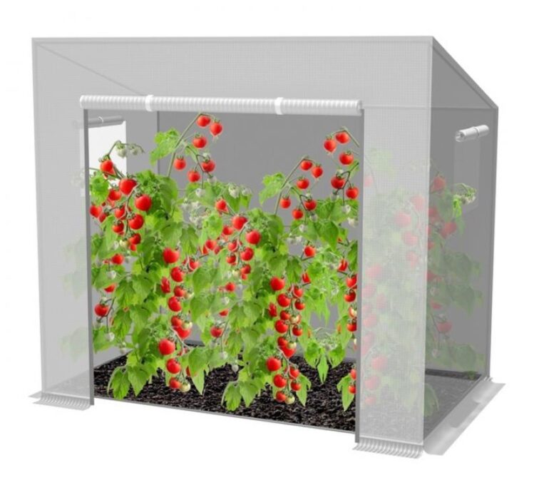 Gradina cu efect de sera, tunel de legume, folie de rosii, alb 200 x 77 x 168/146 cm 1 Gradina cu efect de sera, tunel de legume, folie de rosii, alb 200 x 77 x 168/146 cm