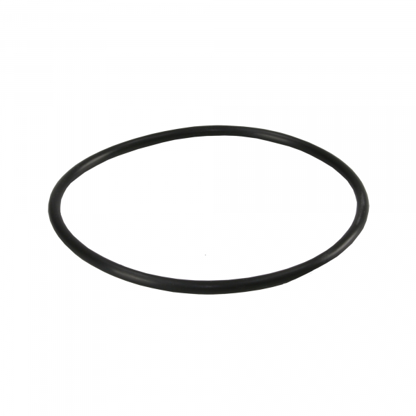 Garnitura tip Oring pentru carcasele filtrelor BigBlue